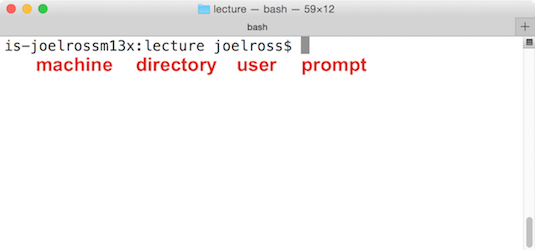 A newly opened command-line.